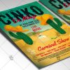Download Cinco De Mayo Carnival Flyer - Club PSD Template-2